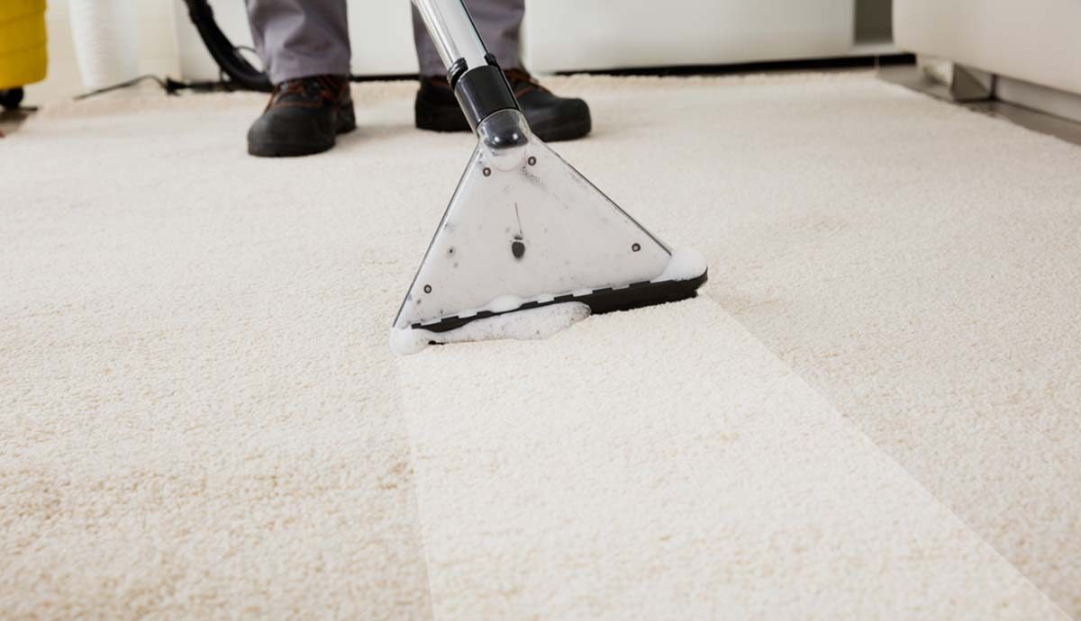 Carpet and Upholstery Cleaning